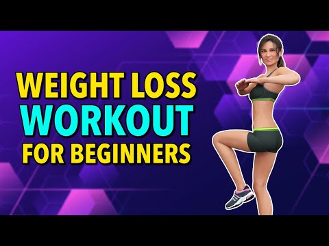 Learn 22 Minute No Jumping Weight Loss Workout Perfect for beginners Mind Luster