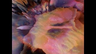 Tea Leigh and Luke Reed - Color Theory