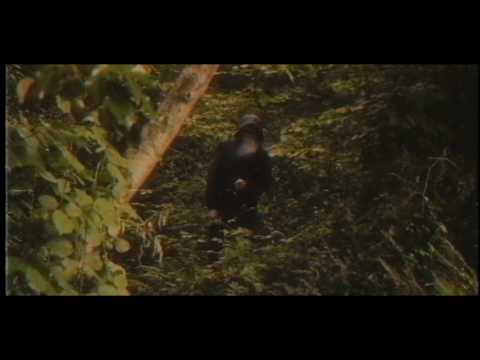 Senso Sentinel - Signs & Symbols (Prod. Unkle) (Music Video)