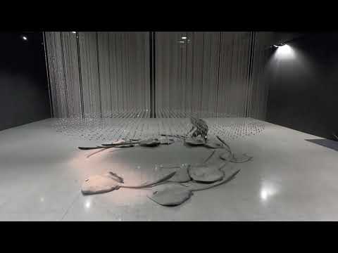 JCG EverythingIsTrue Timelapse