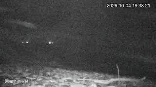 Yilan County · Toucheng Coastal Park South live stream
