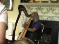 Robin Williamson - Like a rolling stone.mpg