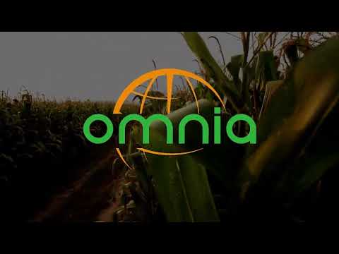 Omnia - crystalline fructose - ( grade: food & pharma), pack...