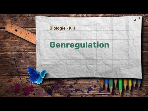 Bio K II  ·  Genregulation