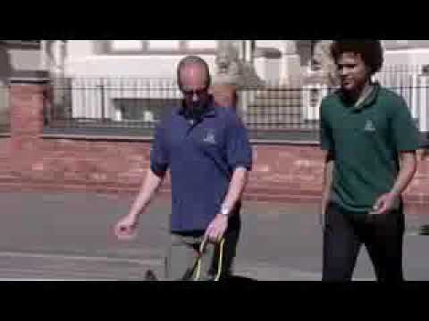 U8 Guide Dogs mixed Solutions Int