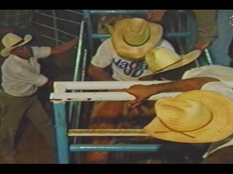 Walter Teixeira [Bill] - Final do Cutiano Jales/Sp 1990