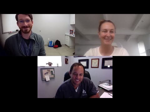 IVDD Flare-Up, Seizure Emergencies, Seizure Medication Pros & Cons, Symptoms of IVDD in Dogs & More!