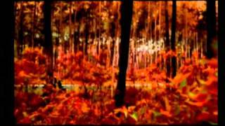 Download lagu OZE-TVC Daihatsu Terios (showroom) mp3