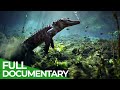 The Wild Soul of the Everglades National Park | Free Documentary Nature