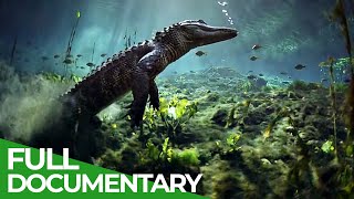 The Wild Soul of the Everglades National Park | Free Documentary Nature #nationalparksweek gameplay video by alucas, 48:05 duration