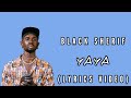 Black Sherif-YAYA (Official Lyrics Video)