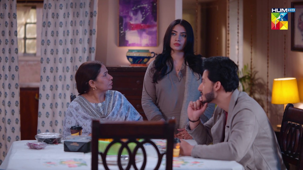Mujhe Lagta Hai Aniza Ne Khanay Mein Zehar Milaya Hai..! #hinatariq - Aye Dil Aazma Nahin - HUM TV