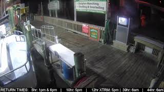 Hubbard's Marina Dock Cam | John's Pass | Madeira Beach FL | https://HubbardsMarina.com live webcam