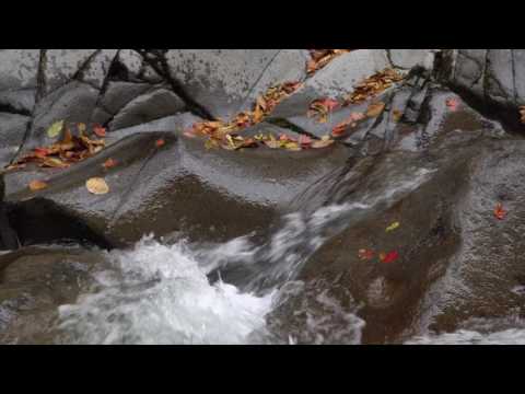 中津川渓谷（猪苗代町）