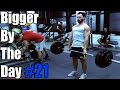 BiggerByTheDay #21 - Pull trening