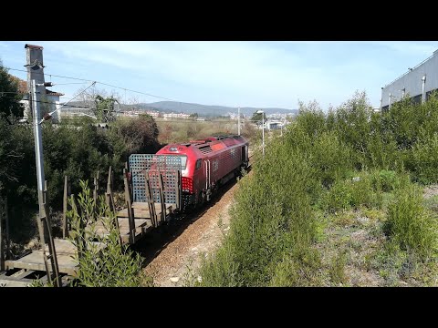 Comboio internacional n° 48898 Takargo Rail 6002 Barcelos