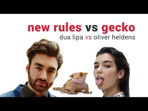Dua Lipa vs Oliver Heldens - New Rules vs Gecko