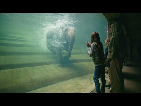 Auf Expedition in Asien im Zoo Leipzig