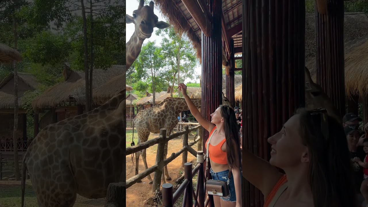 YouTube Short thumbnail