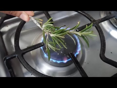 DIOS mío. nunca pensé que quemar Romero servía para todo esto.