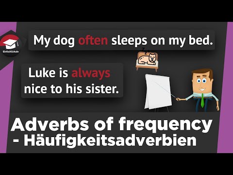 Adverbs of Frequency einfach erklärt - Häufigkeitsadverbien im Englischen - Erklärung und Beispiele!