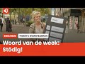 Het Twentse woord van de week: Stödig!