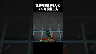 気持ち悪い村人の消し方 #minecraft