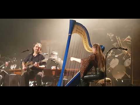 Stefan Eicher - Eisbaer (Grauzone song) live in Brussels