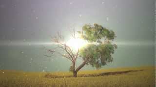 Mercy me - The Hurt & The Healer CD