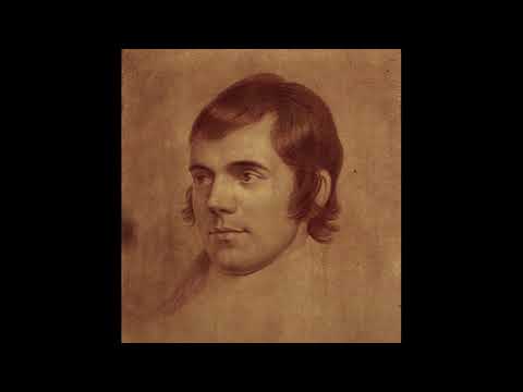 The Deil's awa wi' th' Exciseman