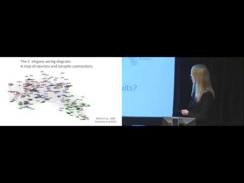Cori Bargmann: 2014 Breakthrough Prize in Life Sciences Symposium