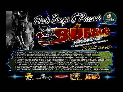 FLASH BREGA E PASSADO VOL 1