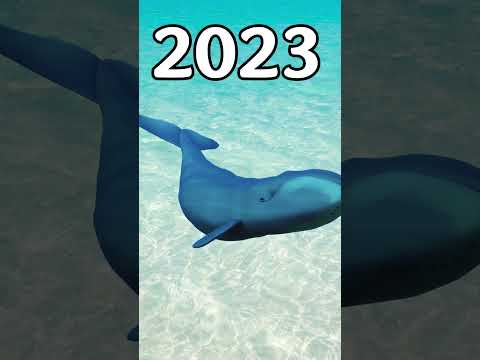 2023 Bowhead Whale vs 5000 bce Bowhead Whale