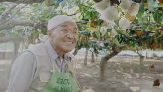 稲城市50周年記念動画