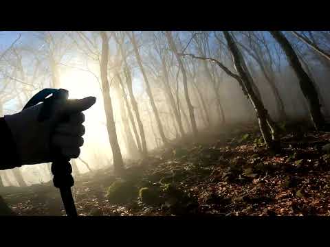 Börzsöny vulkán túra 2025