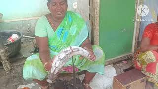 చేపల మార్కెట్ లో రూప్ చెన్డ్ చేపలను ఏలా శుభ్రం చేస్తున్నారో చూడండి 🥰🤪💐