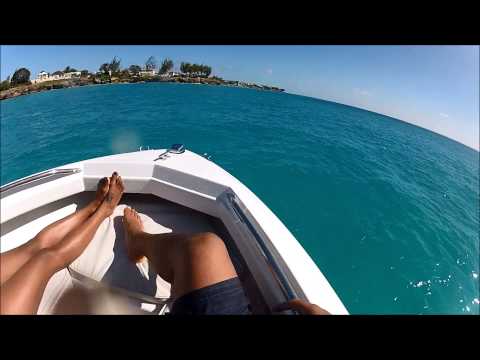 Codehalo - Barbados