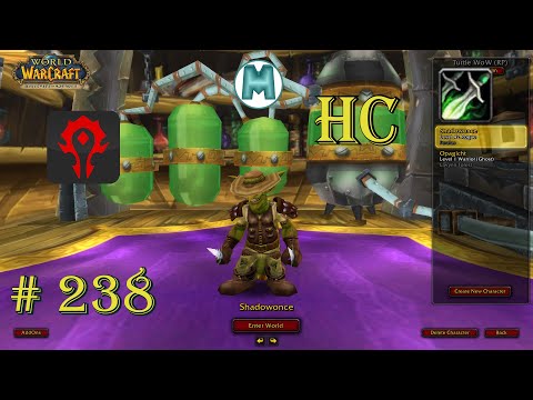 HC Turtle WoW Vanilla+ Horde # 238 - 42 and 71%
