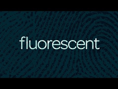 Gapbrick - Fluorescent
