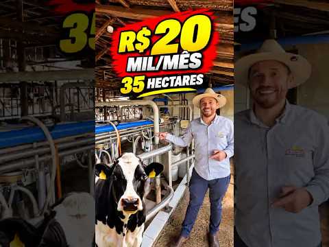 R$ 20 MIL/MÊS em 35 Hectares | Granja Leiteira Porteira Fechada
