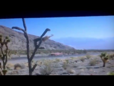 Viva Las Vegas , "Grand Prix"