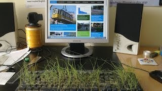 preview picture of video 'Fű nő a billentyűzeten - Grass is growing in the keyboard'