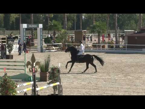 Stall NAGEL NECOFINO von Nerrado