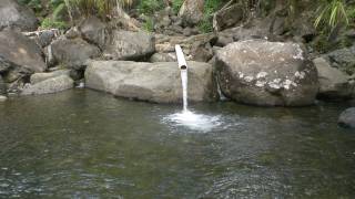 preview picture of video 'Behind El Yunque @ a Spiritual Retreat Picnic Area'