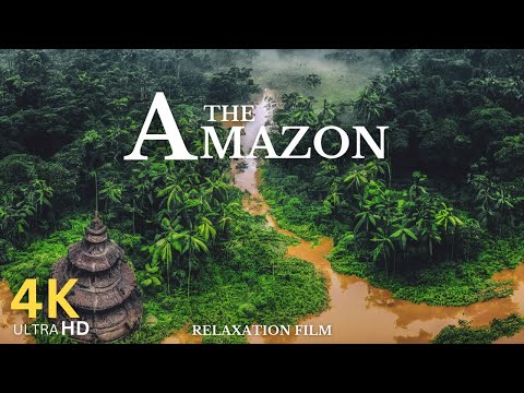 The Amazon: 4K Relaxation Film With Calming & inspiring music"