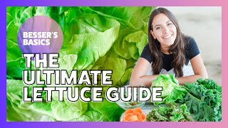 The Best Guide to Lettuce | Besser's Basics | Elena Besser | 2020