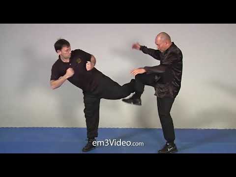 WING CHUN KUEN - Shave the Leg- by Sifu Robert Chu