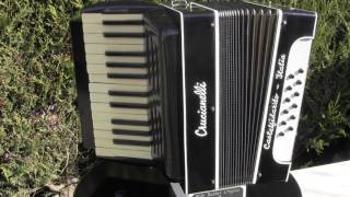 'Accordomotion' player accordion by Rob Barker.