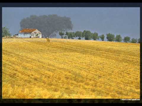 Lirio Roxo - Linda de Suza