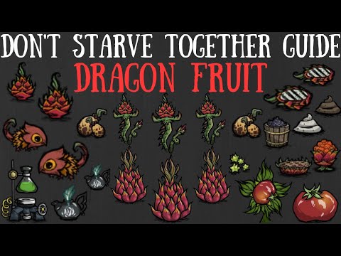 Don't Starve Together Guide: Dragon Fruit - Giant Crops, Farming & More